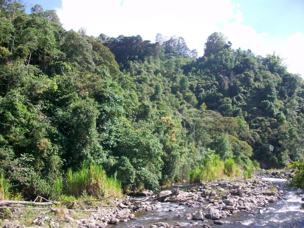 Kasaguadua - Reserva Natural Salento Exterior photo